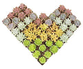 20 Pack Assorted Potted Succulent Plants in Cacti and Succulent Soil Mix D600358