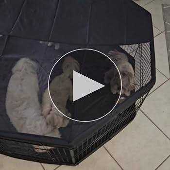 8 Panels Foldable Metal Dog Exercise Pen with Top Cover and Bottom Pad Q85326