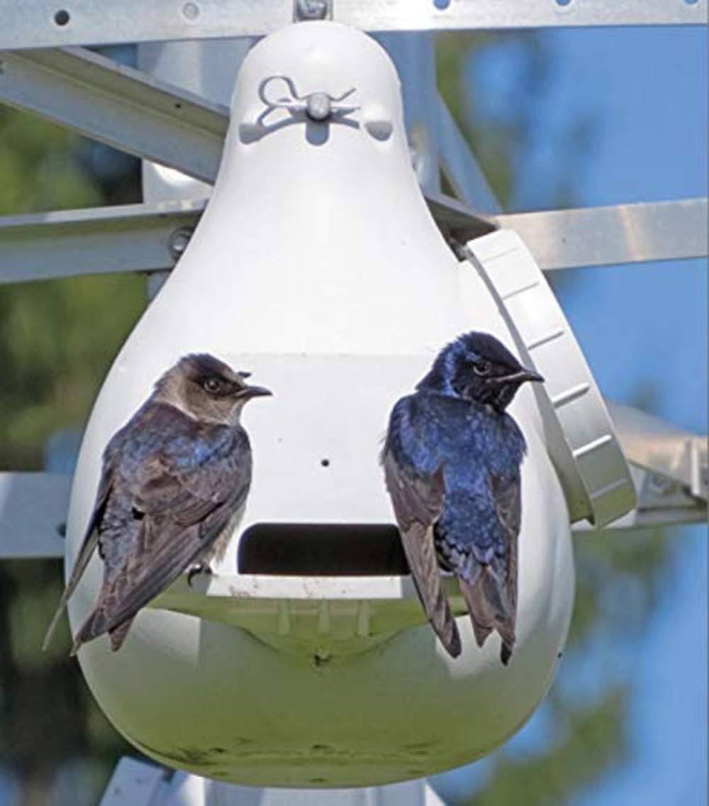 Purple Martin Vertical Gourd Bird House M4953