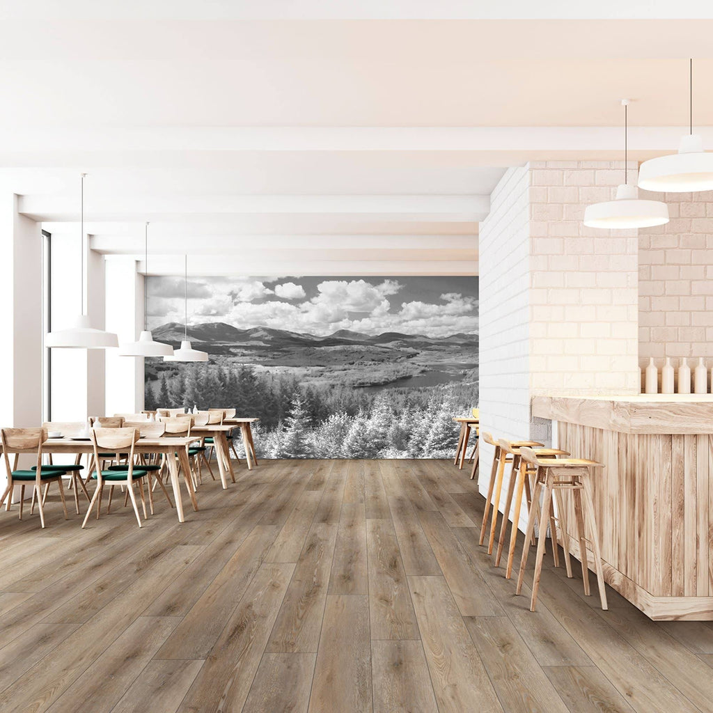 Cairo Oak 9x22 x 73x22 Flooring I345