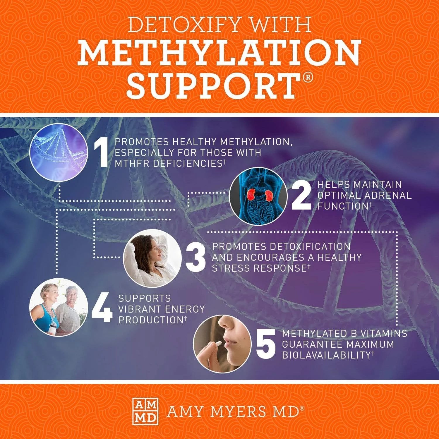 120 capsules Methylation Support Supplement with Folate and Vitamin B12 E452380