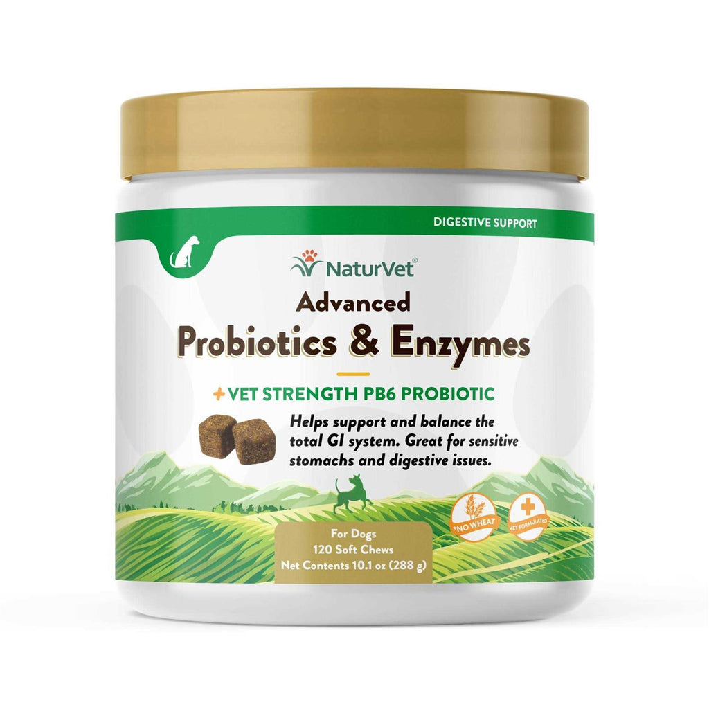 Advanced Probiotics Enzymes Y582608
