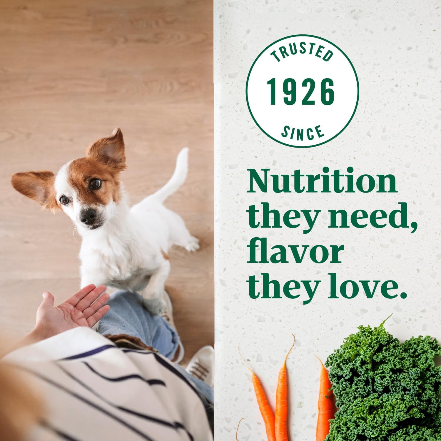 12 lb. Bag Adult Small Breed Dry Dog Food F27169