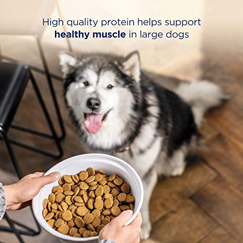 26 Pound Limited Ingredient Dry Dog Food with Lamb & Brown Rice N1094