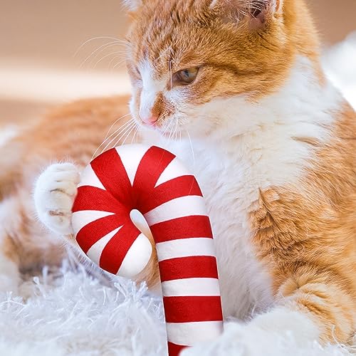 4 Pcs 8 Inch Catnip Cat Chew Toy J112890