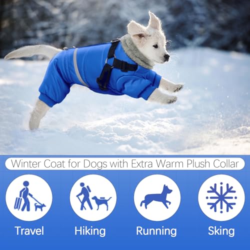 Black Dog Winter Jacket with Harness P5997