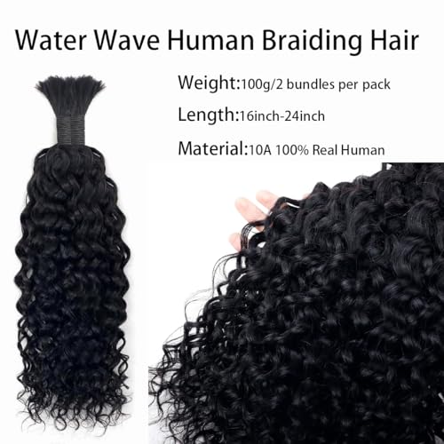Human Hair N417308