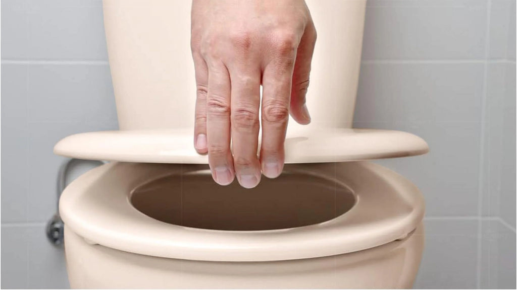 Round Plastic Toilet Seat Slow Close L76447