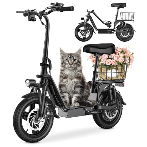 48V 10.4AH Foldable Electric Scooter with Seat C9549