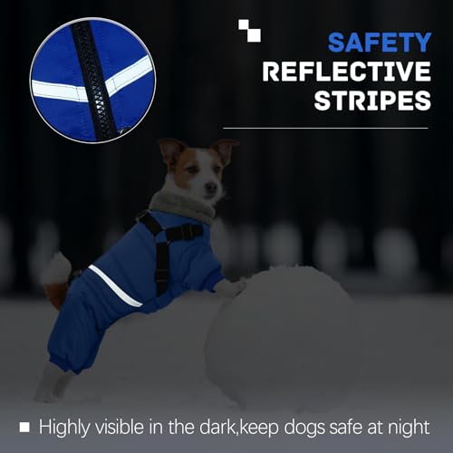 Black Dog Winter Jacket with Harness P5997