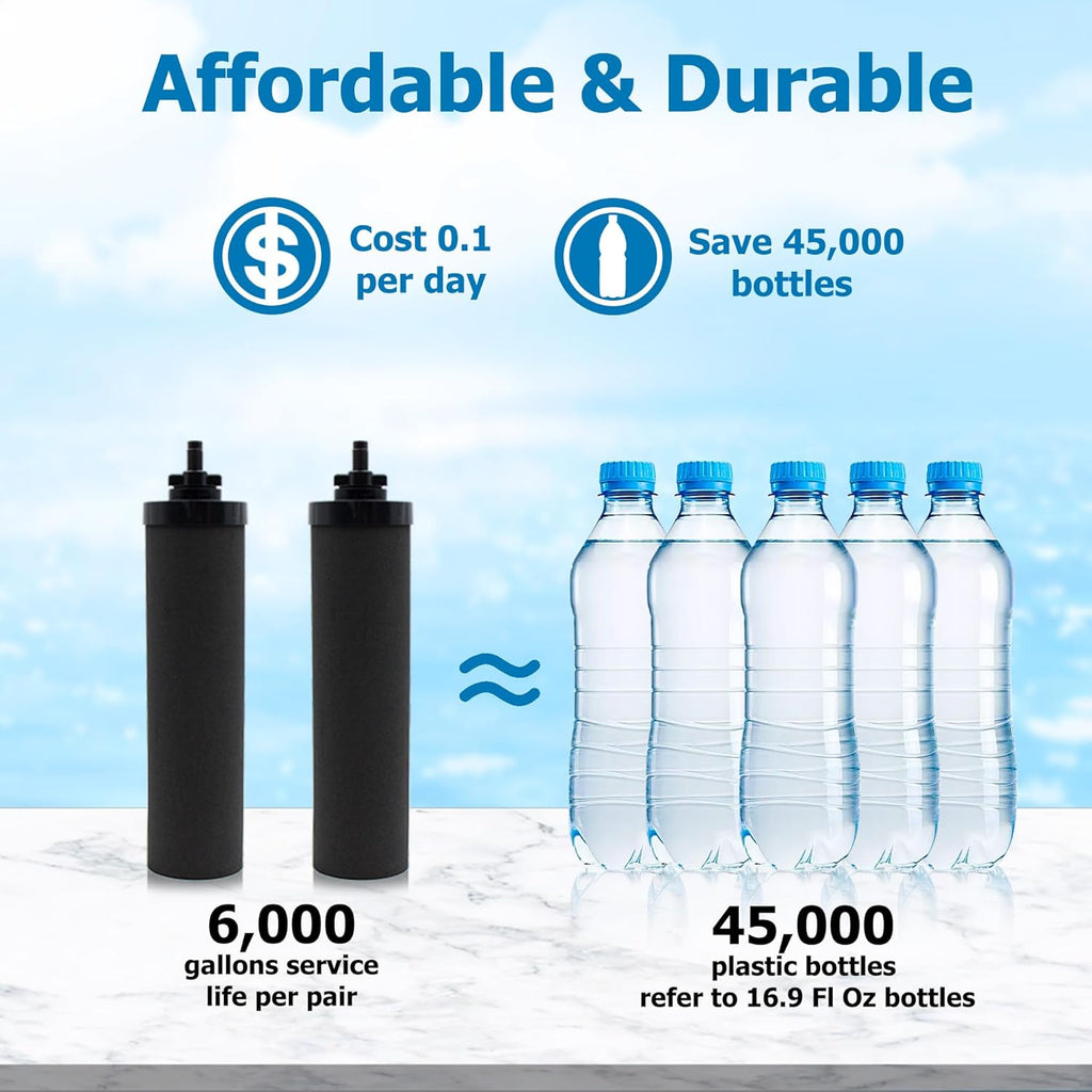 Black Activated Carbon Filters, Pack of 2 W879