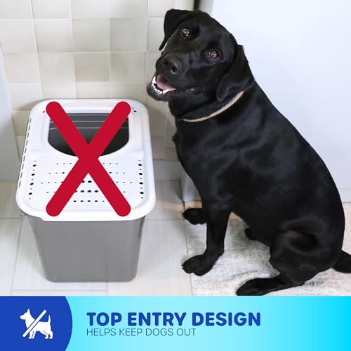 Top Entry Cat Litter Box With Filter Lid W622