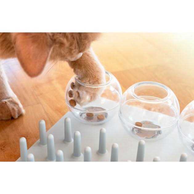 Cat Activity Fun Board U736