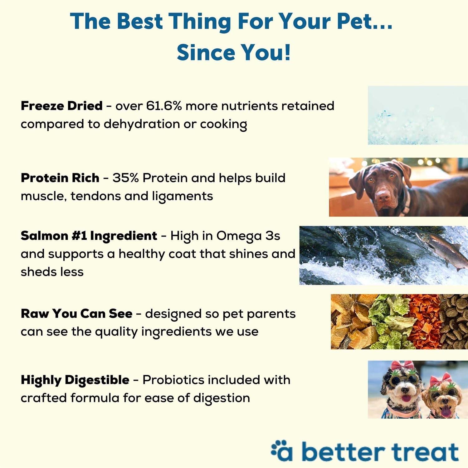 Salmon Raw Dog Food O209