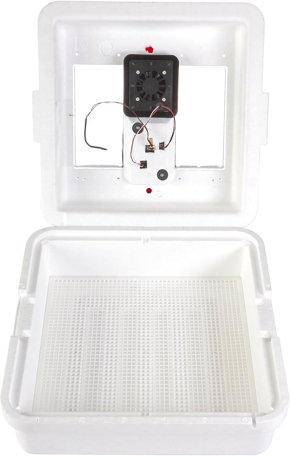 41 Egg Incubator with Fan and Temperature and Humidity Control G899611