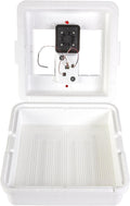 41 Egg Incubator with Fan and Temperature and Humidity Control G899611