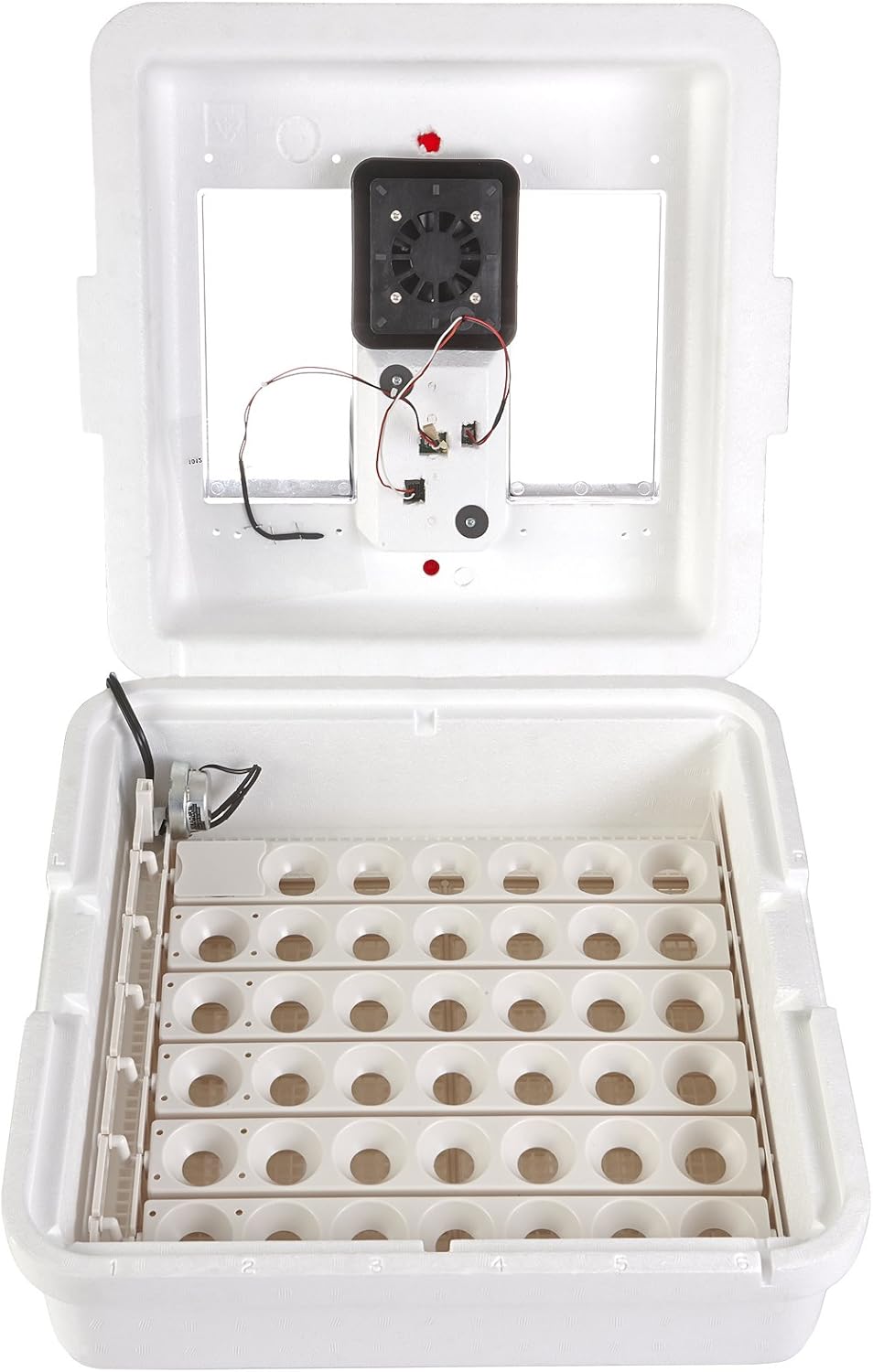 41 Egg Incubator with Fan and Temperature and Humidity Control G899611