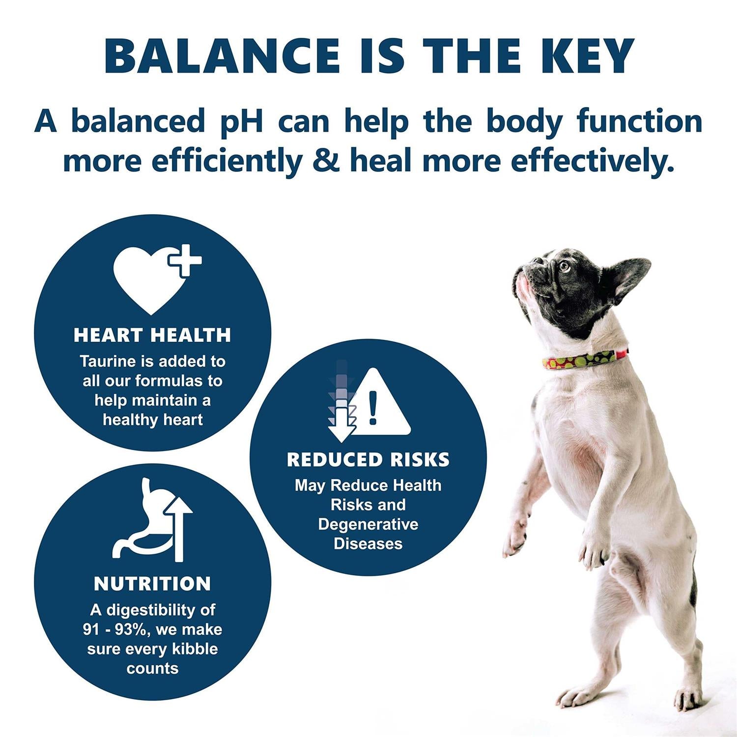 Open Meadow Holistic Entree Dry Dog Food Y86887