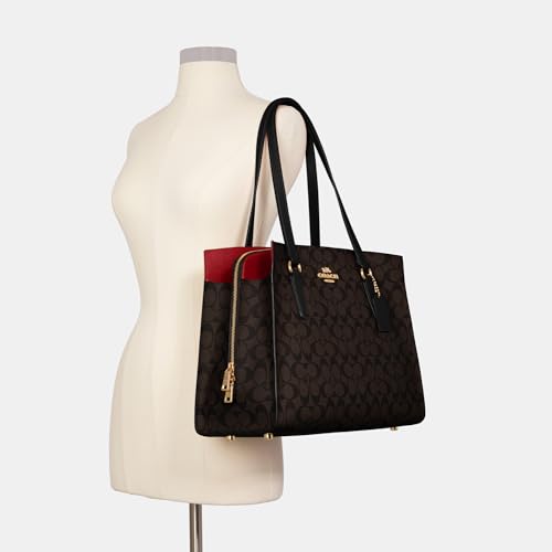 Brown Black Carryall F841