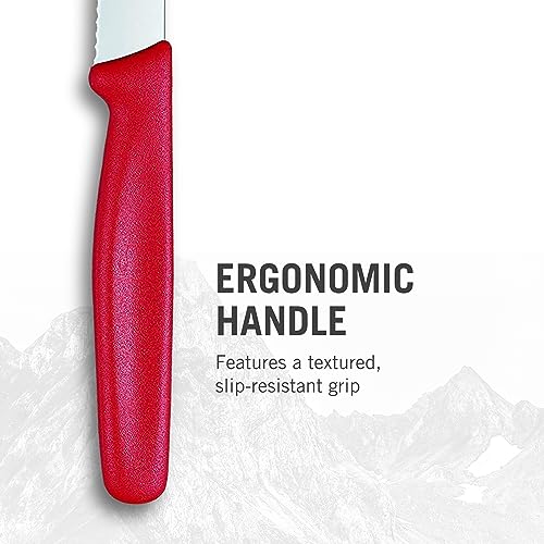 Red Set of 4 Knife Set M29567
