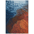 Marina Coral Indoor Outdoor Area Rug