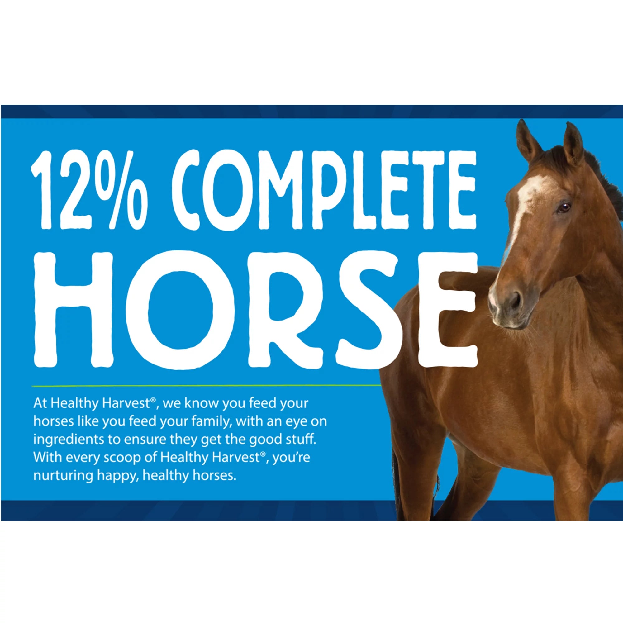 40 lb Complete Horse Feed Pellets H816215