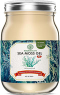 18 oz Natural sea Moss Gel, 1 Bottle M90360