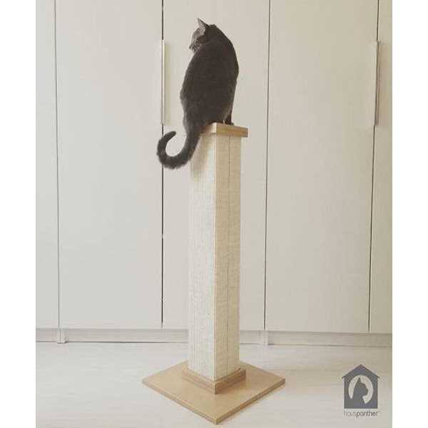 Scratching Post C491