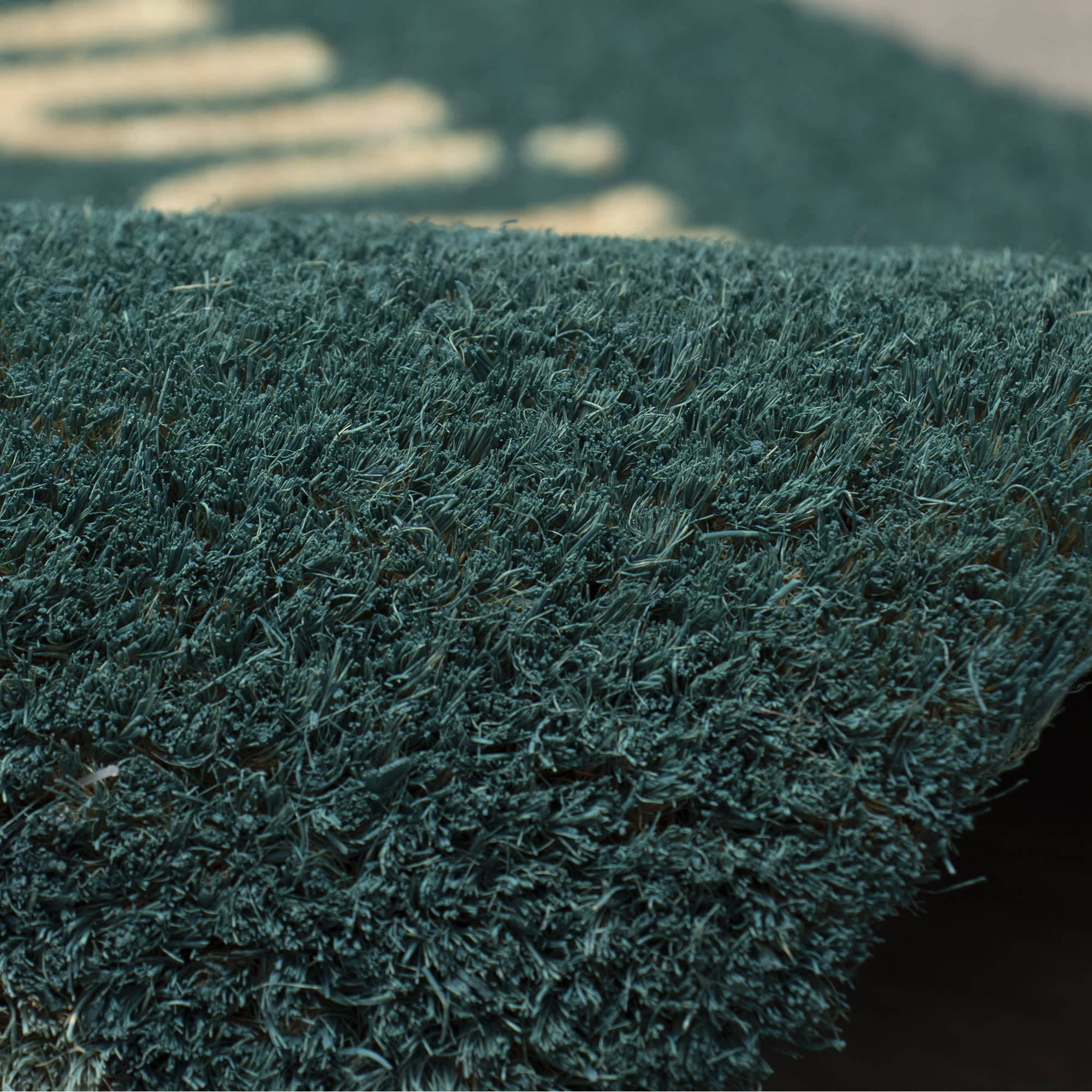 Natura Swim On In Coir Doormat with Non-Skid Backing