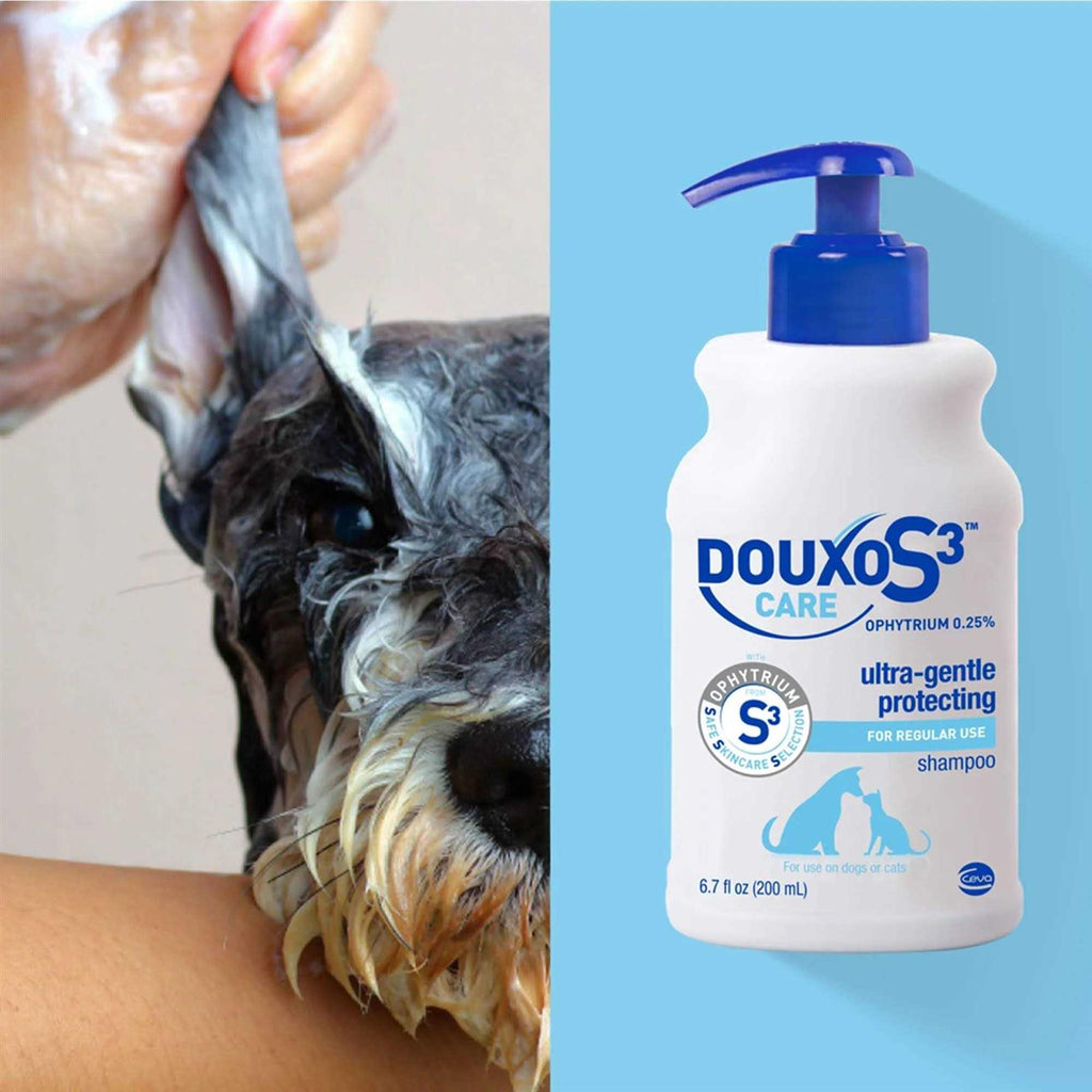 Douxo S3 Care Shampoo 200ml K5193