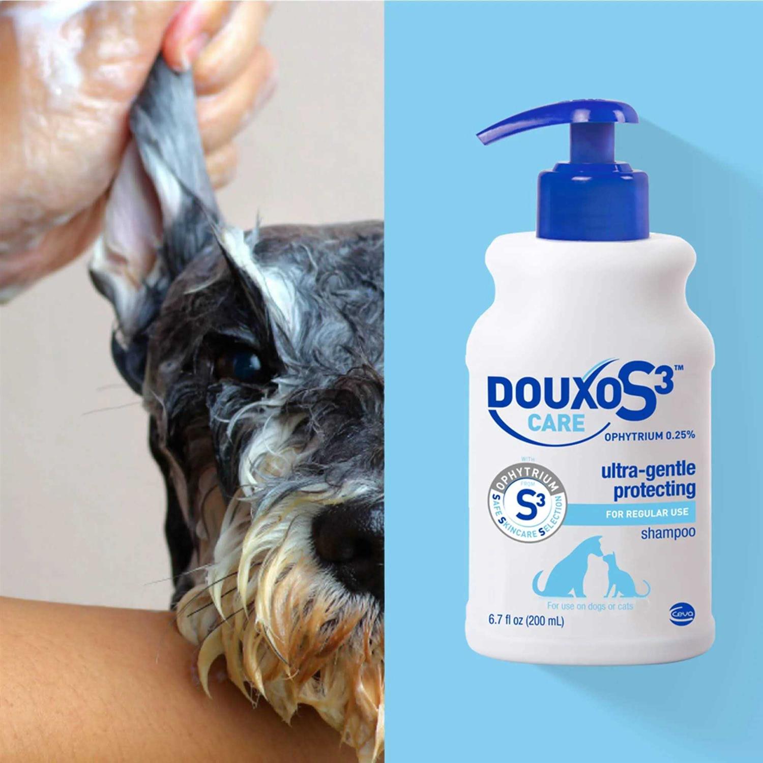 Douxo S3 Care Shampoo 200ml K5193