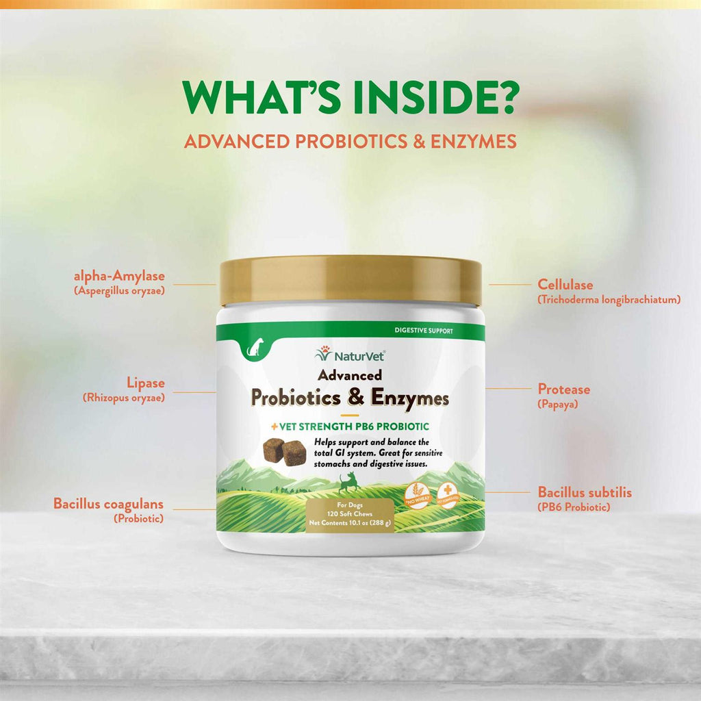 Advanced Probiotics Enzymes Y582608