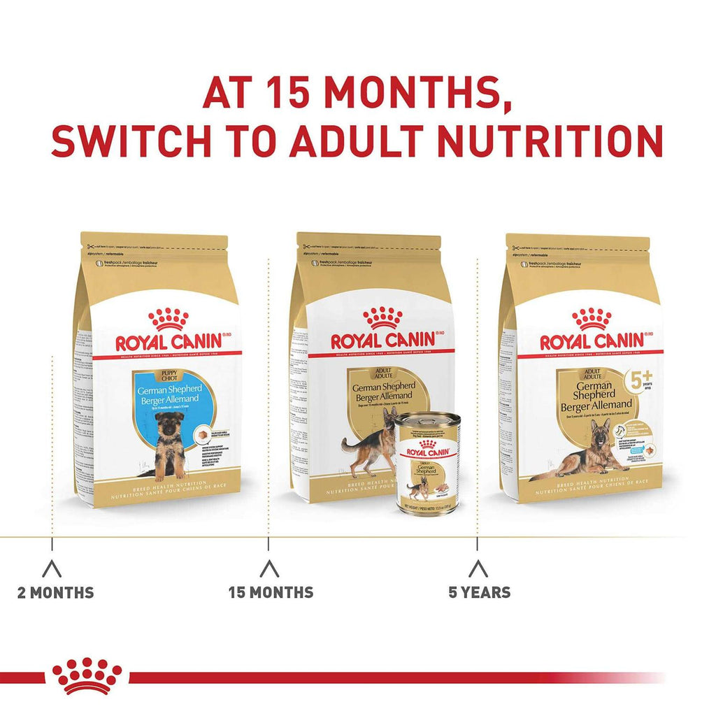 German Shepherd Puppy Dry Dog Food P44862