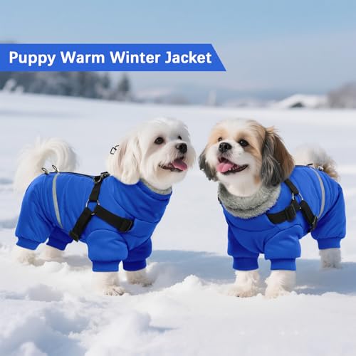Black Dog Winter Jacket with Harness P5997