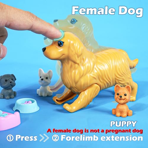 6 People Dollhouse Dolls Playset with Pets and Accessories B234