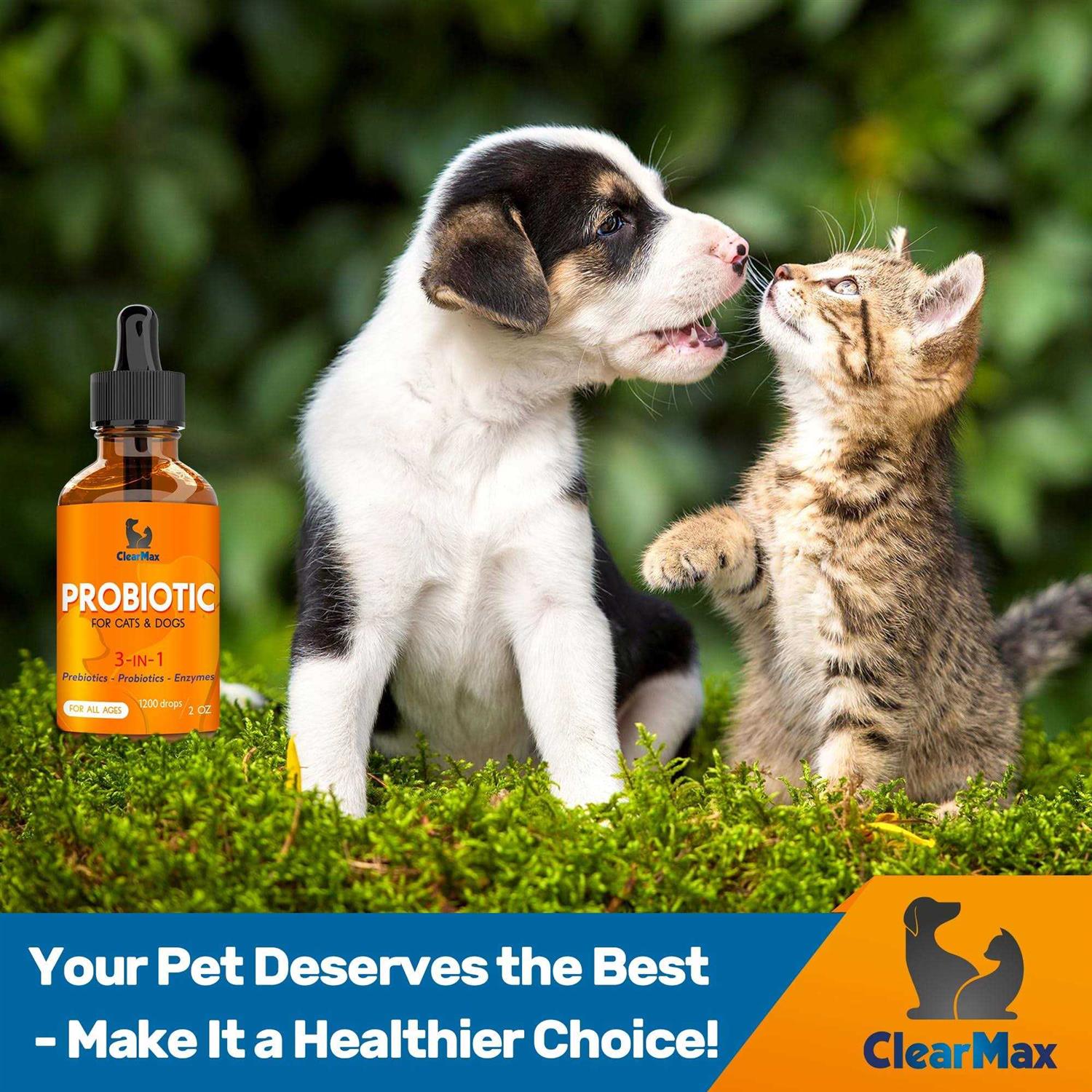 Probiotics for Dogs and Cats N746189