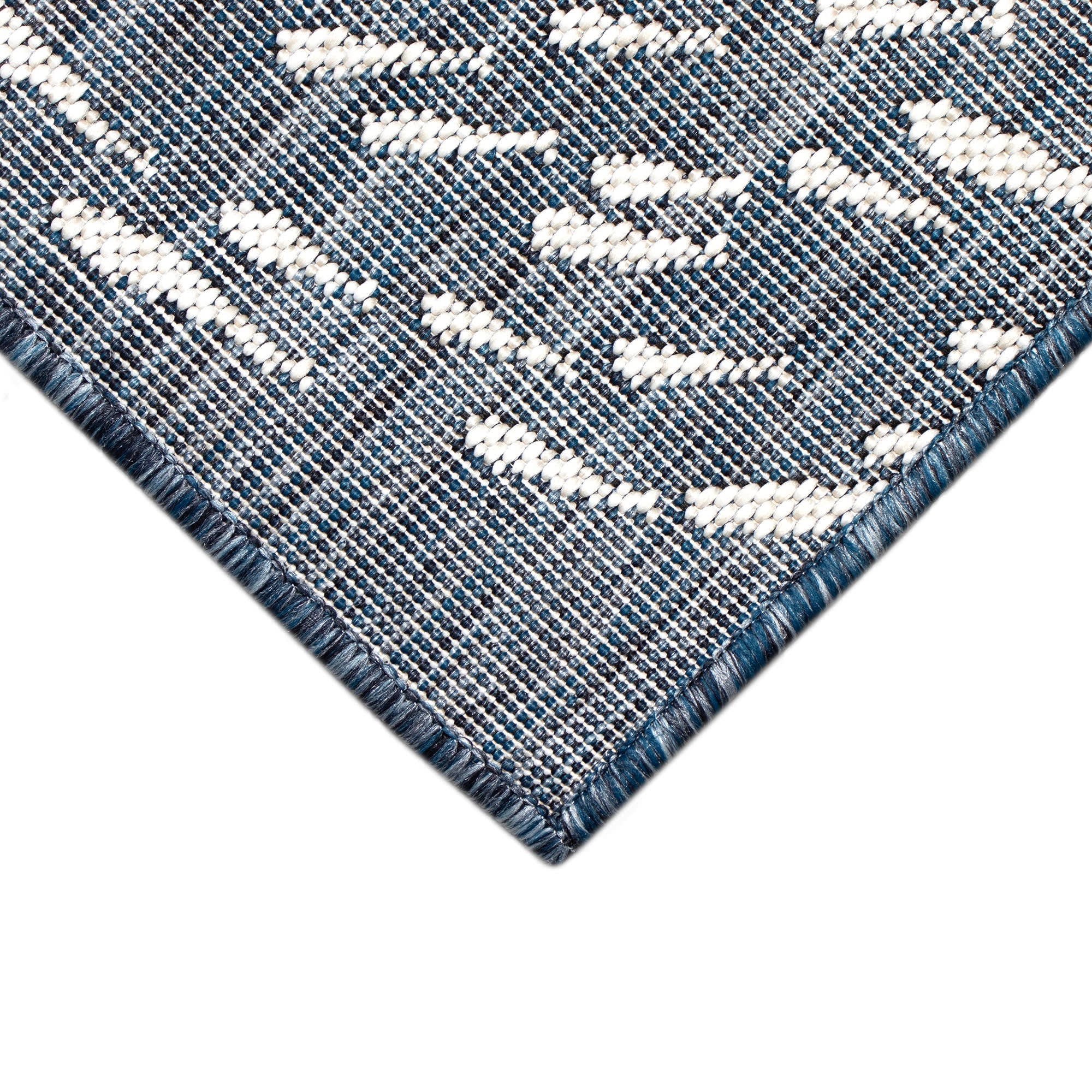 Carmel School Of Fish Indoor Outdoor Area Rug