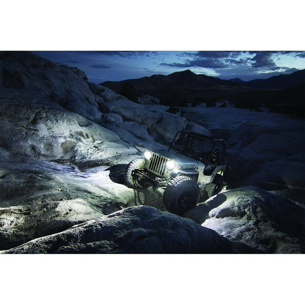 Amber Rock Light Kit (4) T8708