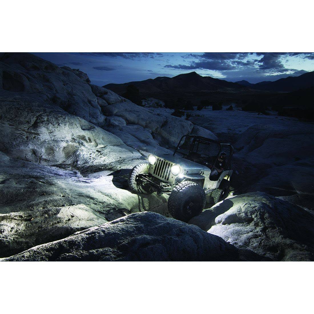 Amber Rock Light Kit (4) T8708