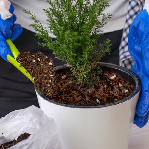 1qt Fast Draining Organic Potting Mix A264103