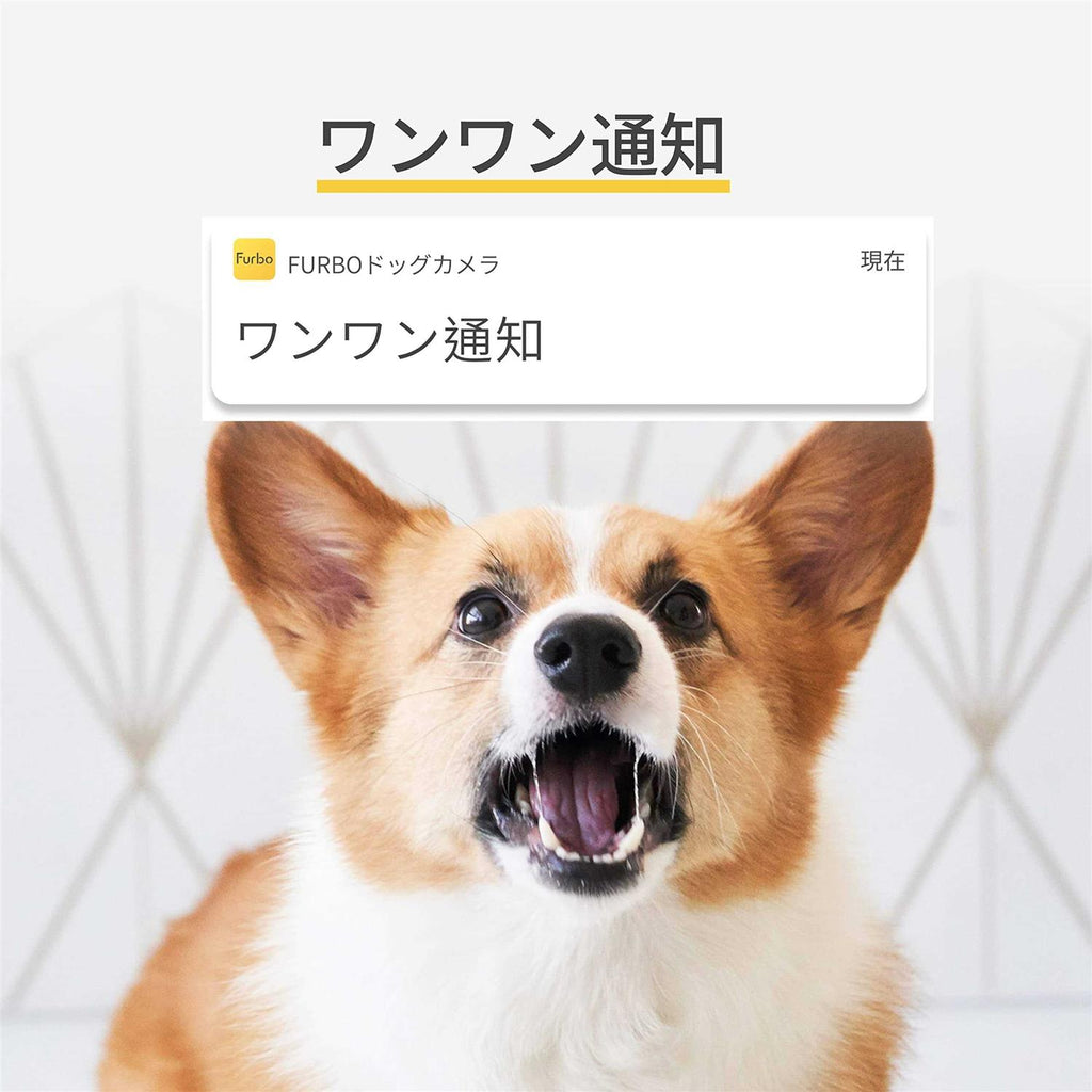 360° Rotating Pet Camera with Treat Tossing N5939