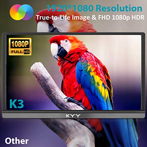 15.6inch 1080P FHD USB-C HDMI IPS Gaming Monitor C90654
