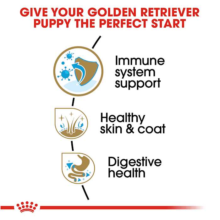 Golden Retriever Puppy Dry Dog Food U33682