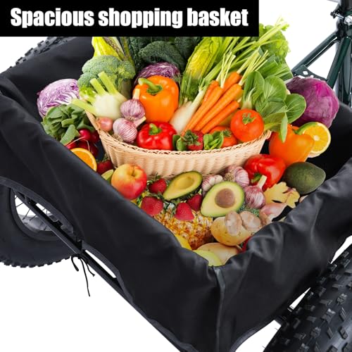 20 Inch 7 Speed Adult Tricycle with Double Disc Brake G990204