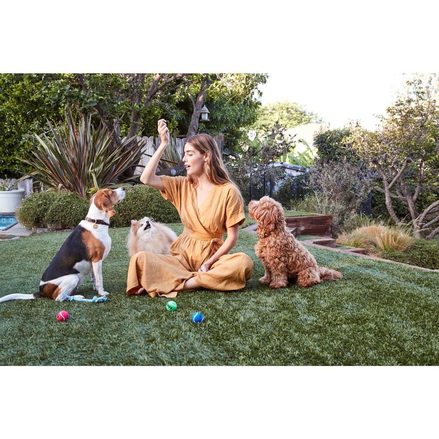 Beef Jerky Tenders Dog Treats K465080