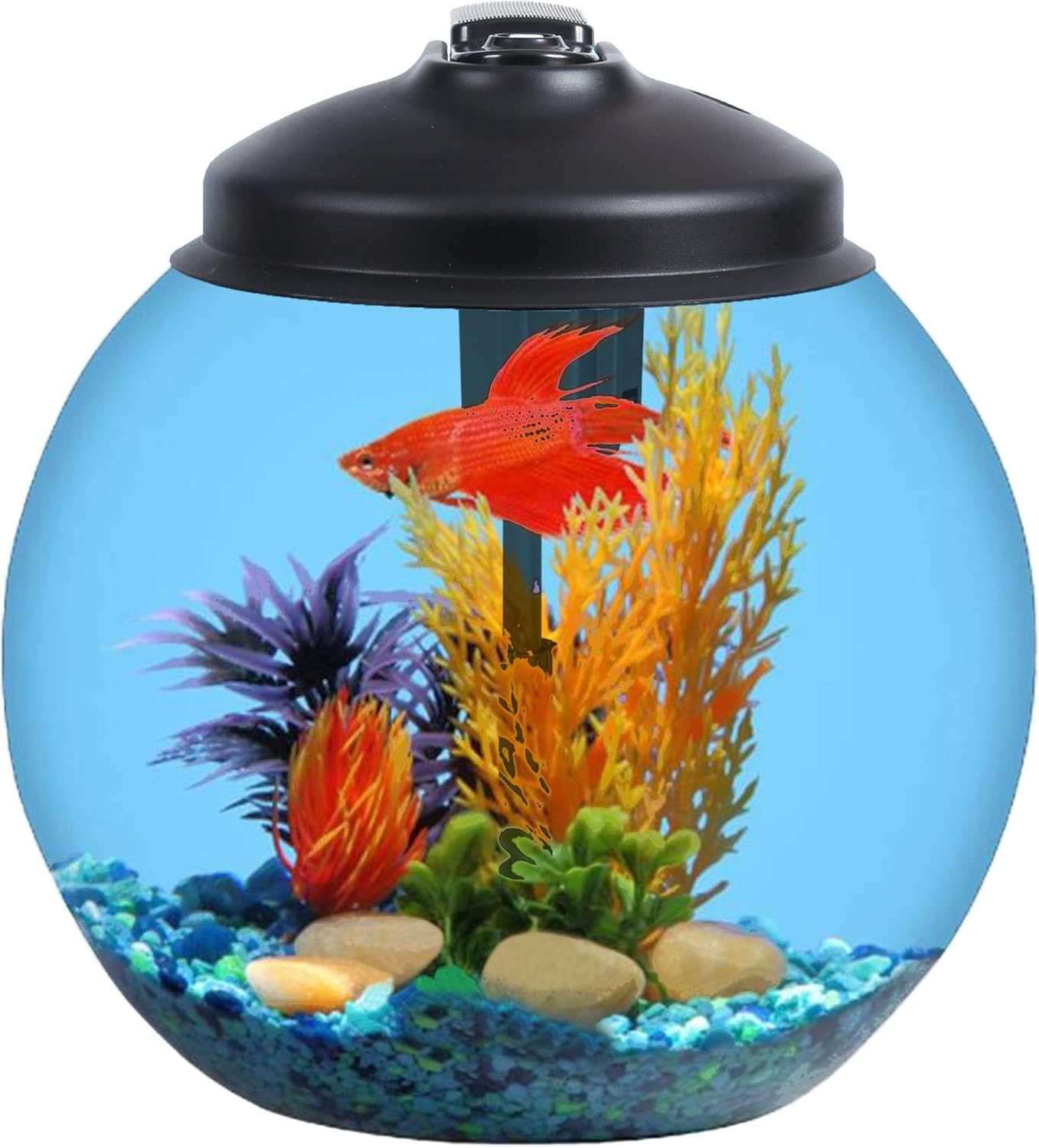 3 Gallon Fish Tank Starter Kit with Power Filter, LED Light, and Full Hood A815747