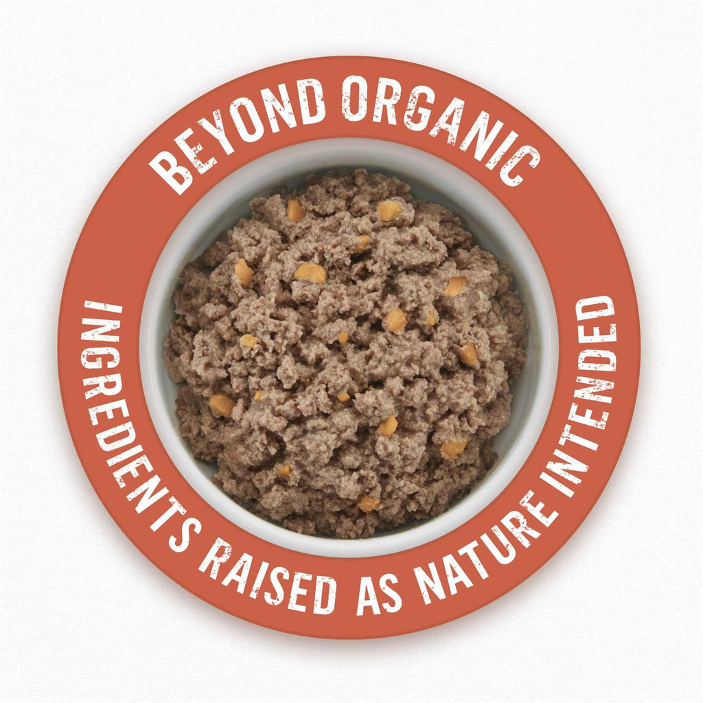 Organic Chicken Recipe Wet Dog Food X245527