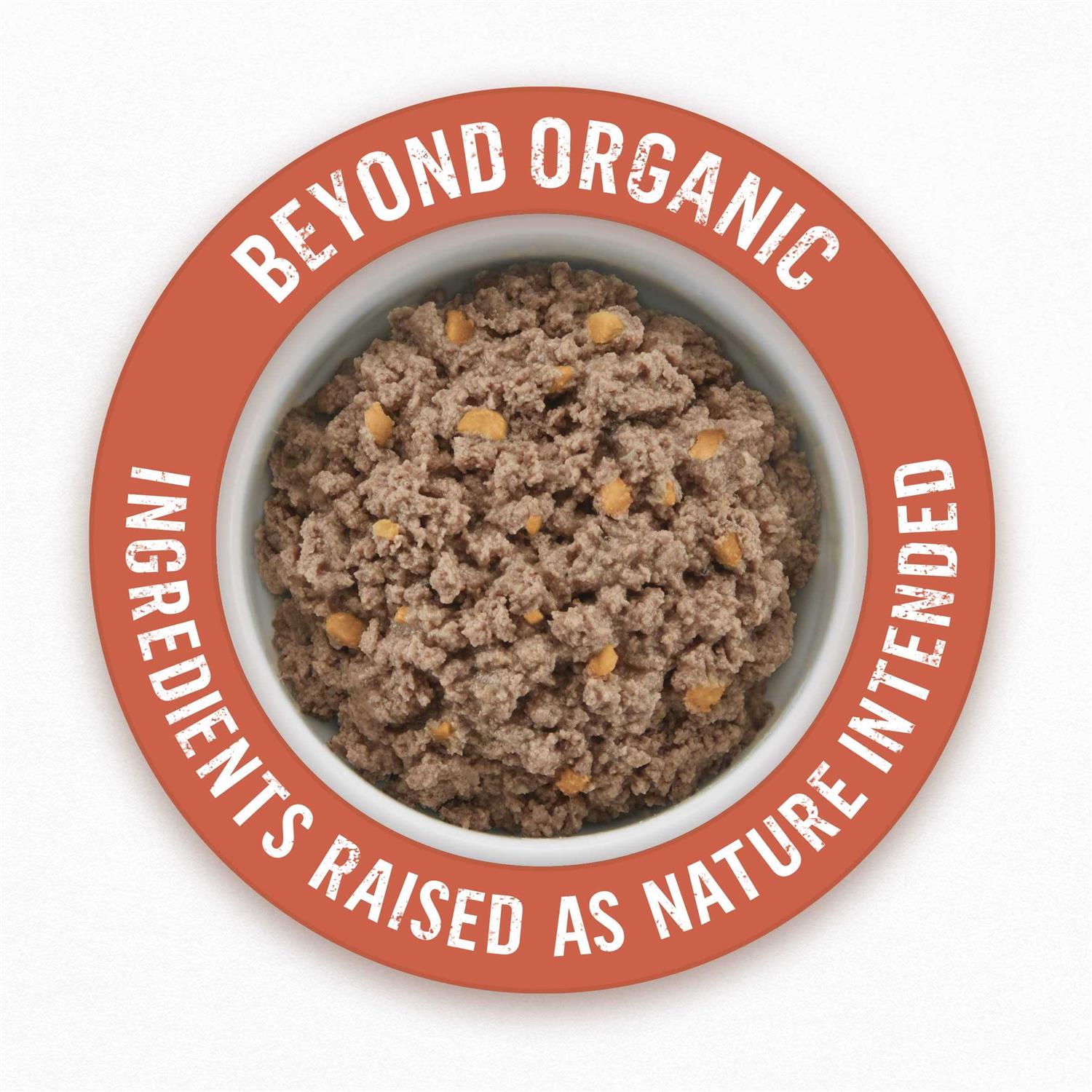 Organic Chicken Recipe Wet Dog Food X245527