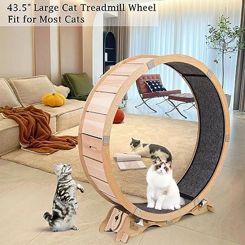 Maple Wood Cat Exercise Wheel F201