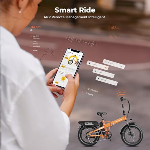 Foldable Fat Tire Electric Bike with 48V 12.5Ah Removable Battery O2669